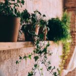 Brick interior wall with plants; MGSD living wall interior design trend