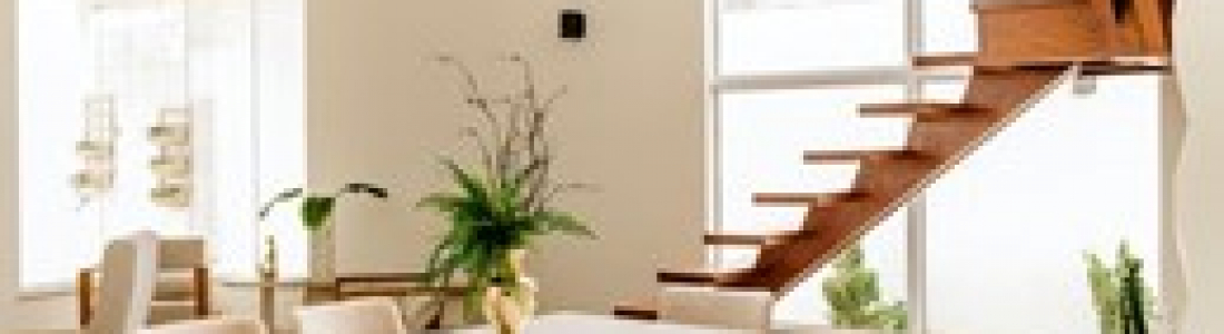Interior Design Profile: Contemporary Design