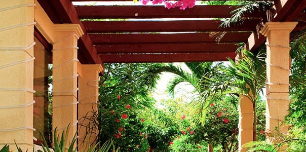 Pergola Inspired Terrace