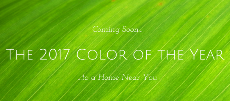 Coming Soon to a Home Near You – the 2017 ‘Color of the Year’